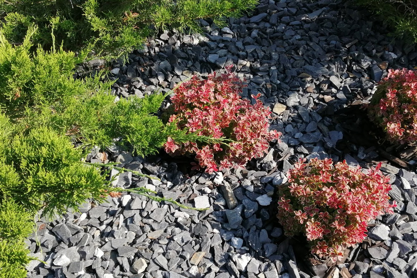 Nordstone Sisu Svart Skifferkross